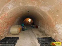 Prodej - jiné, Miroslav, 60 m2