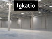 Pronájem skladu, Údlice, 40600 m2