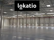 Pronájem skladu, Údlice, 25500 m2