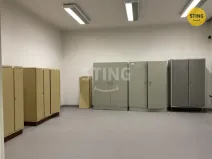 Pronájem skladu, Kopřivnice, 42 m2