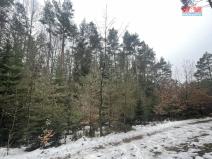 Prodej lesa, Záhoří - Smrčí, 12219 m2