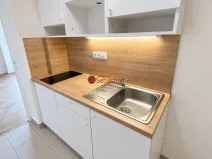Pronájem bytu 1+1, Teplice - Trnovany, Antonína Sochora, 41 m2