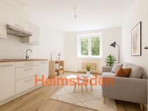 Pronájem bytu 1+kk, Havířov - Město, Jana Wericha, 18 m2