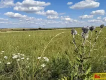 Prodej pozemku pro komerční výstavbu, Znojmo, 27908 m2