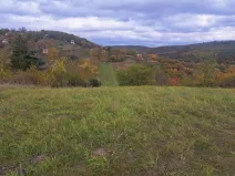 Prodej zahrady, Sivice, 1458 m2