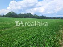 Prodej zemědělské půdy, Ropice, 137754 m2