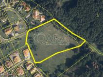 Prodej pozemku pro bydlení, Karlovy Vary - Olšová Vrata, 9234 m2