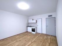 Pronájem bytu 1+kk, Čížová - Topělec, 20 m2