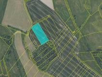 Prodej zemědělské půdy, Vranovice, 9286 m2
