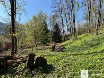 Prodej pozemku pro bydlení, Malá Skála, 3895 m2