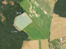 Prodej zemědělské půdy, Arnoltice, 13385 m2