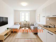 Pronájem bytu 1+kk, Havířov - Město, Hlavní třída, 21 m2
