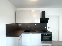 Pronájem bytu 1+kk, Zbůch, K Újezdu, 29 m2