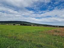 Prodej zemědělské půdy, Hostomice, 8385 m2