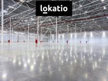 Pronájem výrobních prostor, Hladké Životice, 4000 m2