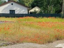 Prodej pozemku pro bydlení, Kamenný Újezd, 1106 m2