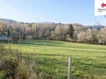 Prodej louky, Brloh, 5616 m2