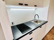 Pronájem bytu 1+kk, Teplice, Svojsíkova, 23 m2