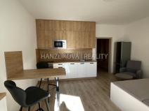 Pronájem bytu 1+kk, České Budějovice - České Budějovice 2, Volejbalistů, 28 m2