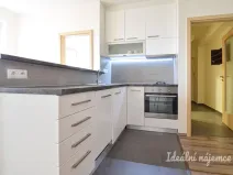 Pronájem bytu 2+kk, Brno, Renneská třída, 39 m2