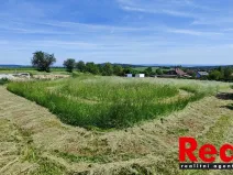 Prodej pozemku pro bydlení, Ježkovice, 3053 m2