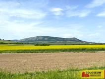 Prodej pozemku pro bydlení, Pavlov, 1132 m2