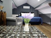 Prodej atypického bytu, Karlovy Vary, Foersterova, 99 m2