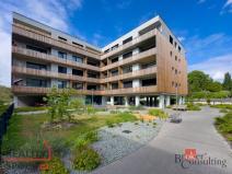 Pronájem bytu 1+kk, Plzeň - Východní Předměstí, Kartónová, 35 m2