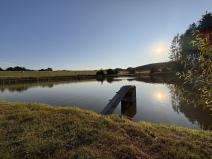 Prodej rybníku, Olbramov, 6672 m2
