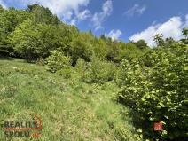 Prodej pozemku pro bydlení, Janov nad Nisou - Hraničná, 1161 m2