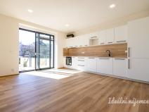 Pronájem bytu 3+kk, Hradec Králové - Pražské Předměstí, Albertova, 52 m2