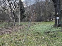 Prodej komerčního pozemku, Obercarsdorf, Německo, 15758 m2