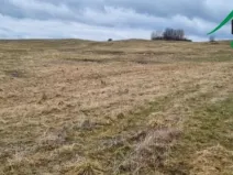 Prodej pole, Chodský Újezd - Neblažov, 387228 m2