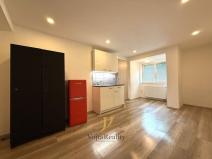 Pronájem bytu 1+kk, Olomouc, Zeyerova, 26 m2