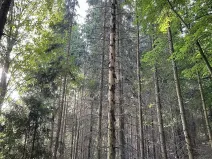 Prodej podílu pozemku, Útěchov, 37614 m2
