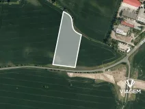 Prodej podílu pole, Dašice, 7109 m2