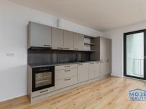 Pronájem bytu 2+kk, Plzeň - Jižní Předměstí, Železná, 73 m2