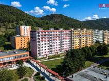 Pronájem bytu 1+1, Ústí nad Labem - Mojžíř, Peškova, 35 m2