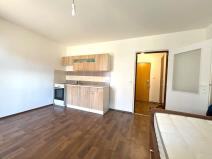 Pronájem bytu 1+kk, Plzeň, Manětínská, 26 m2
