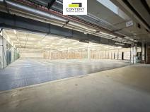 Pronájem skladu, Hradec Králové - Březhrad, Březhradská, 5330 m2