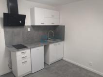 Pronájem bytu 1+kk, Olomouc - Nová Ulice, Wolkerova, 25 m2