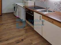Pronájem bytu 1+1, Horka nad Moravou, Berkova, 30 m2
