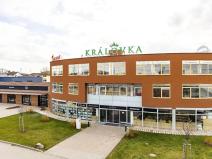 Pronájem kanceláře, Brno, Kaštanová, 181 m2