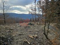 Prodej lesa, Vsetín, 1023 m2