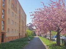 Prodej bytu 2+1, Most, Zdeňka Fibicha, 54 m2