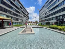 Pronájem kanceláře, Brno - Staré Brno, Nové sady, 290 m2