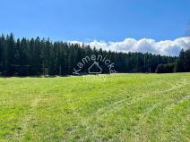 Prodej komerčního pozemku, Černá v Pošumaví, 25271 m2