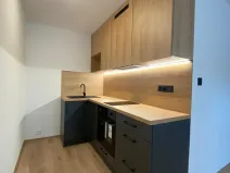 Pronájem bytu 2+kk, Most, Josefa Ševčíka, 39 m2