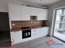 Pronájem bytu 1+kk, Brno - Trnitá, Křenová, 28 m2