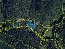 Prodej lesa, Lelekovice, 2035 m2